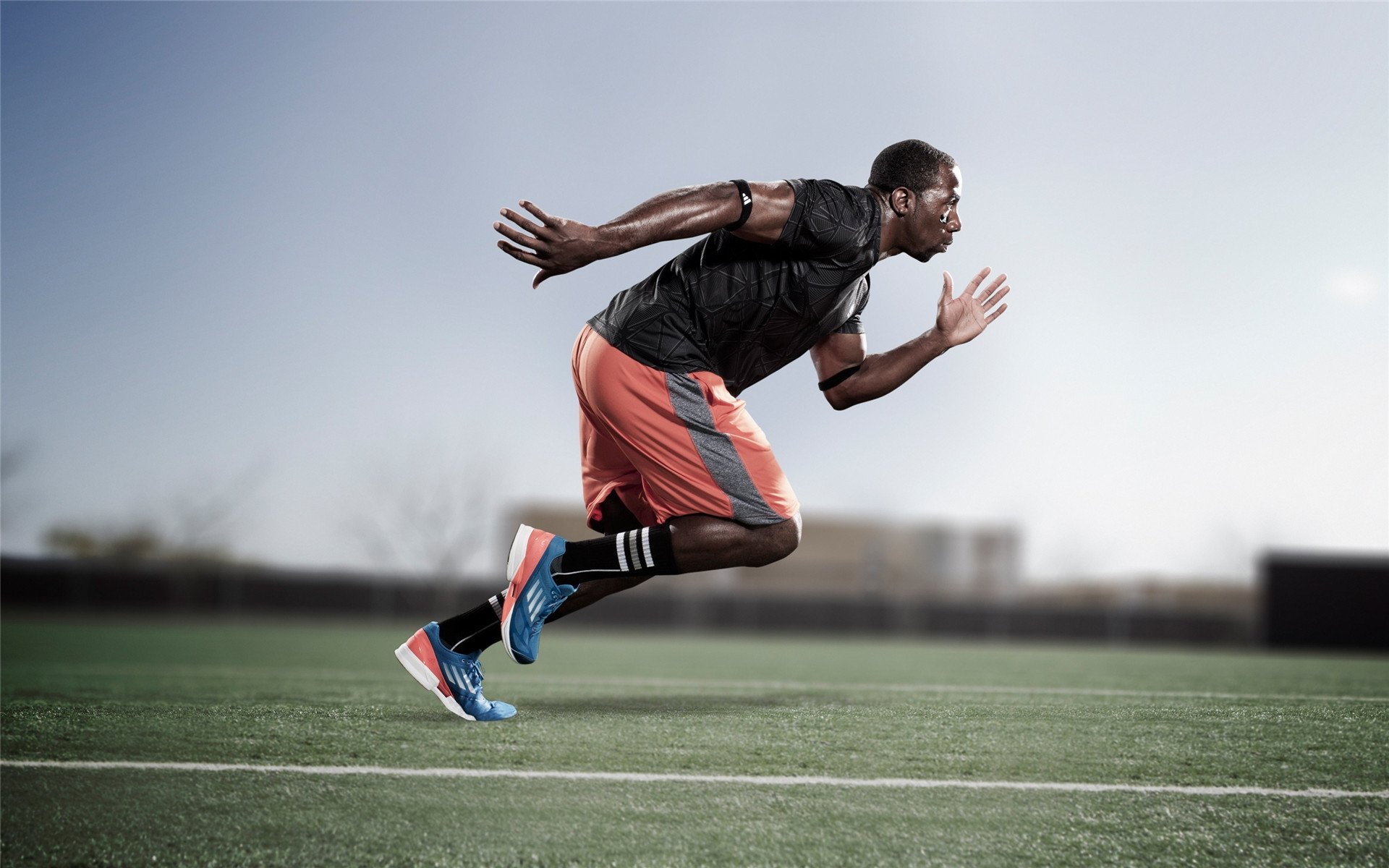 开云体育ios-从降级到冠军：一位教练的战术逆转笔记